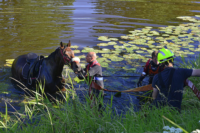 2016/133/20160718-18u52 GB 010 Paard te water Hoofdweg.jpg